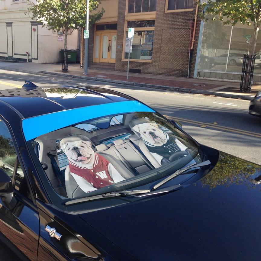Gearhumans 3D Bulldog 12 Custom Car Auto Sunshade
