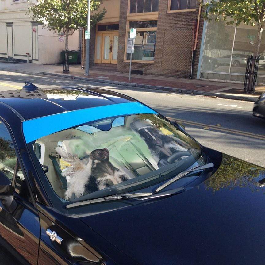 Gearhumans 3D Stinky Skunks Custom Car Auto Sunshade
