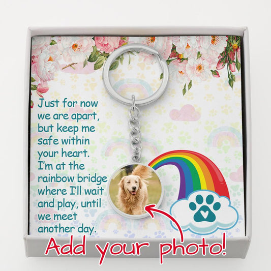 Pet Memorial Gifts,Rainbow Bridge Bracelet for Beloved Dog Cat Keychain M371