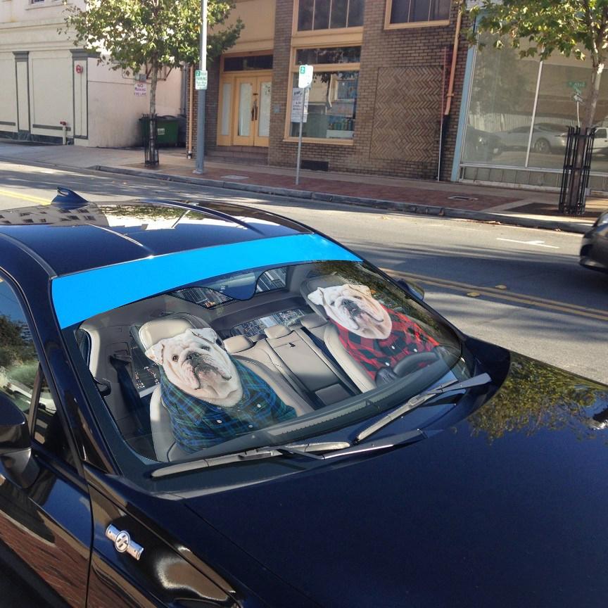 Gearhumans 3D Bulldog 24 Custom Car Auto Sunshade
