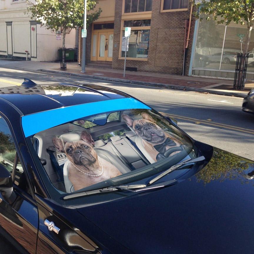 Gearhumans 3D Bulldog Couple Custom Car Auto Sunshade