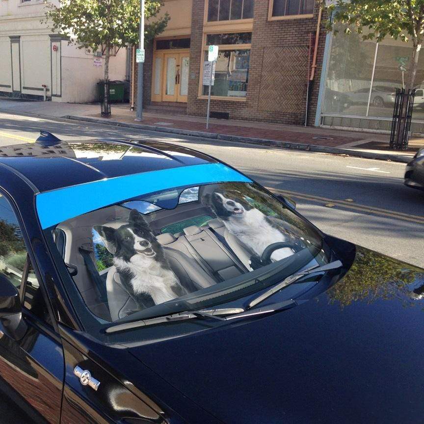 Gearhumans 3D Border Collie Custom Sunshade