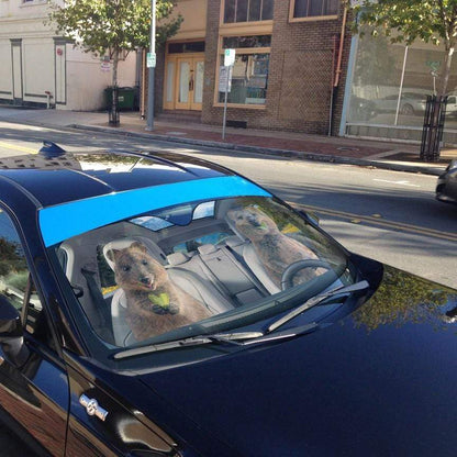 Gearhumans 3D Happy Quokka Custom Car Auto Sunshade