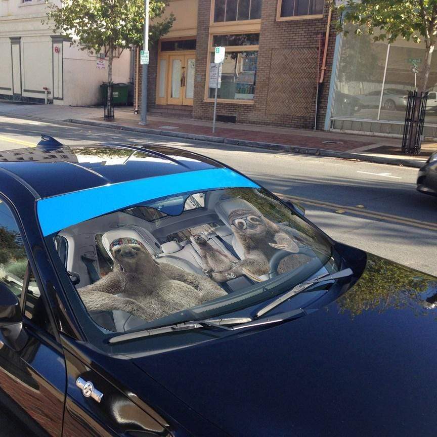 Gearhumans 3D Sloths Custom Car Auto Sunshade