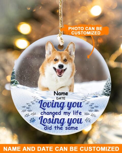 Custom Pet Memorial Ornament For Pet Lovers Loving You Changed My Life Christmas Ornament Blue M352