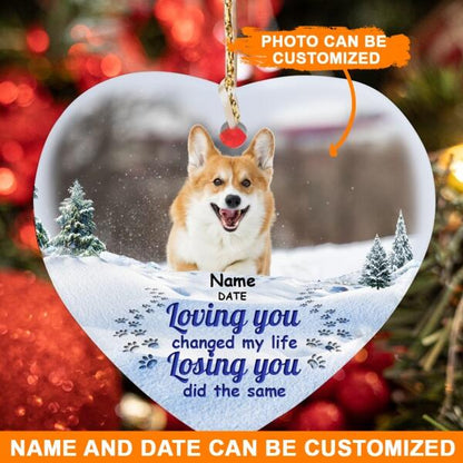 Custom Pet Memorial Ornament For Pet Lovers Loving You Changed My Life Christmas Ornament Blue M352